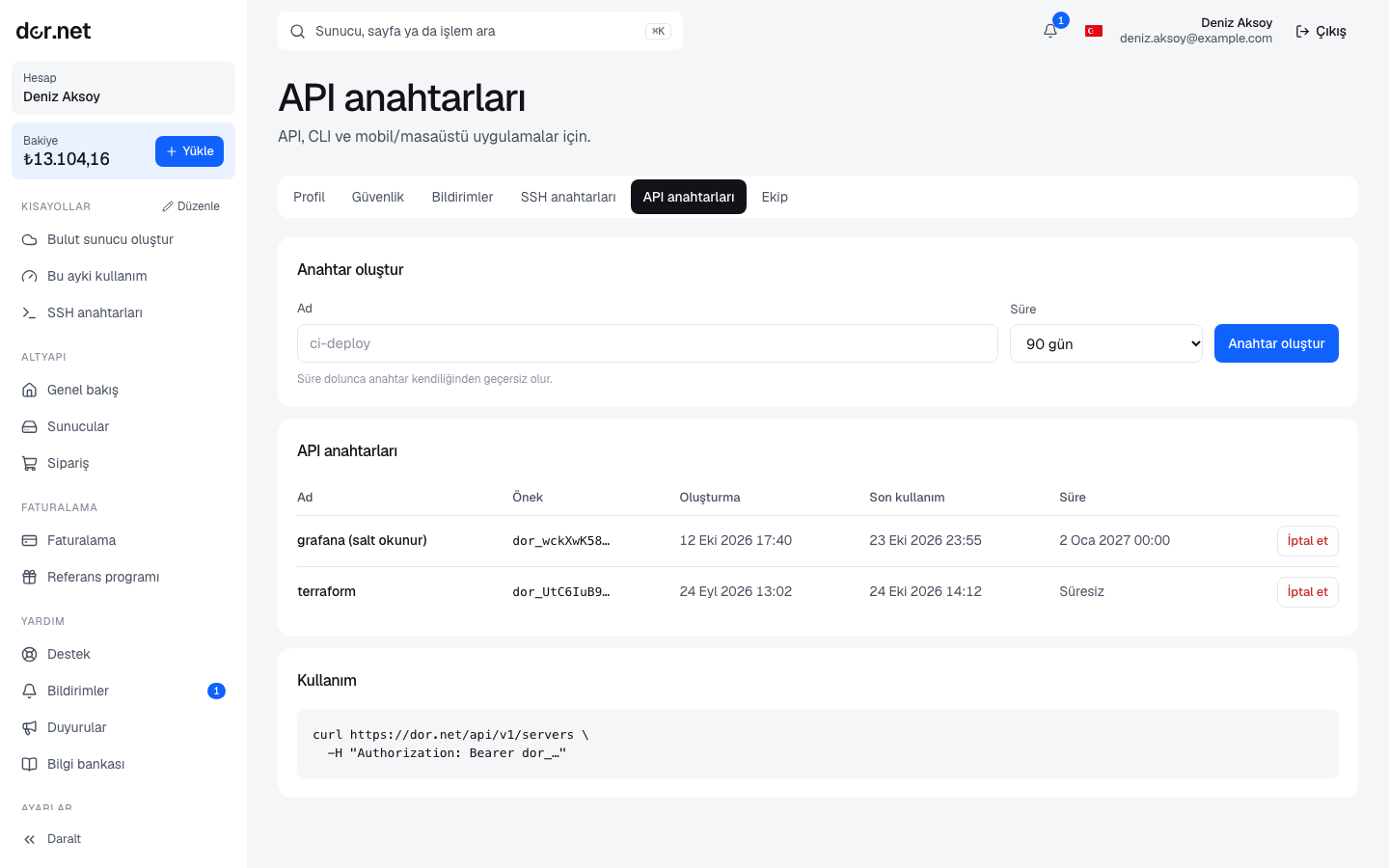 API keys page: name and expiry fields, key list, curl example