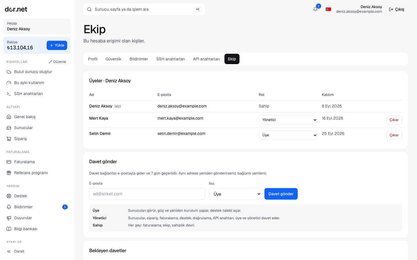 Team page: members, roles, pending invitations and the invite form